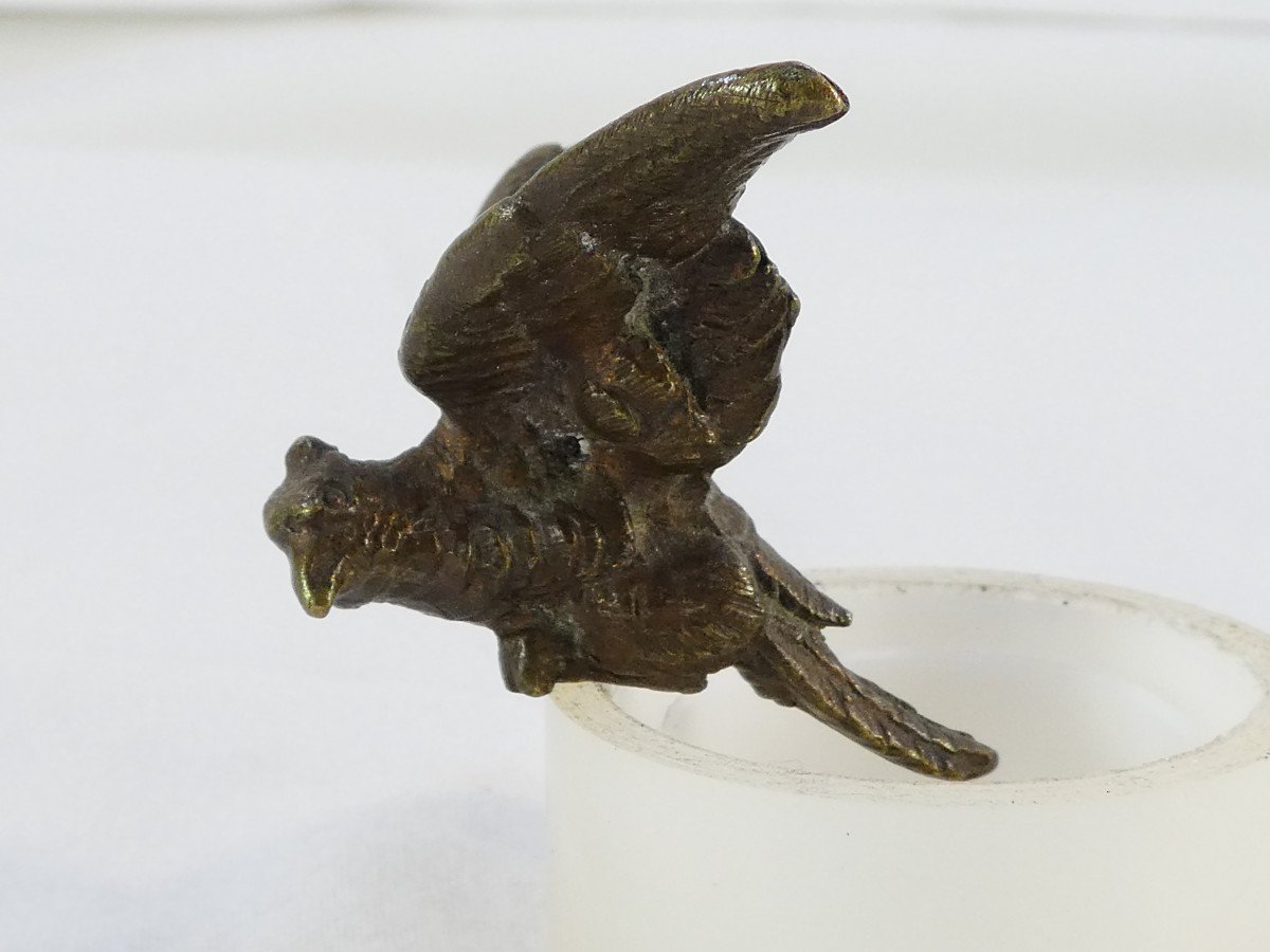 Small Bronze Parrot