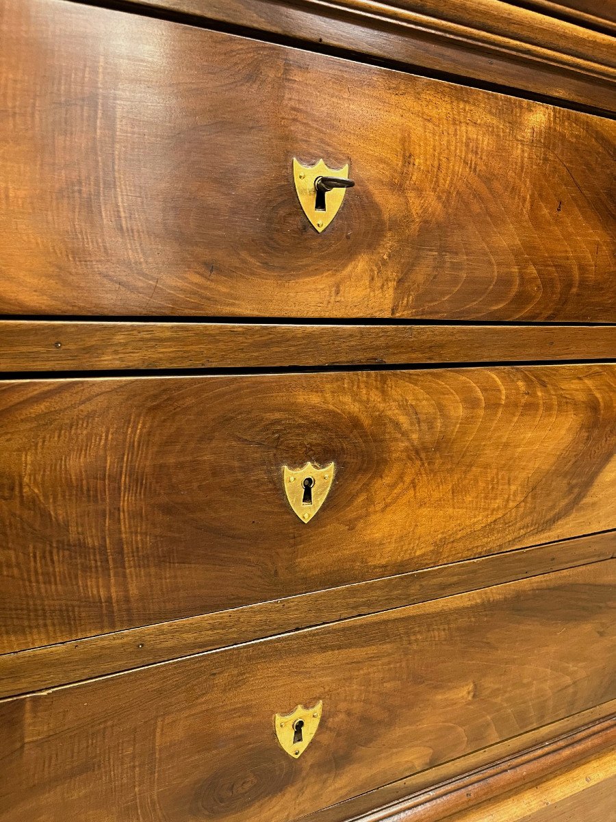 Louis Philippe Chest Of Drawers In Walnut-photo-1