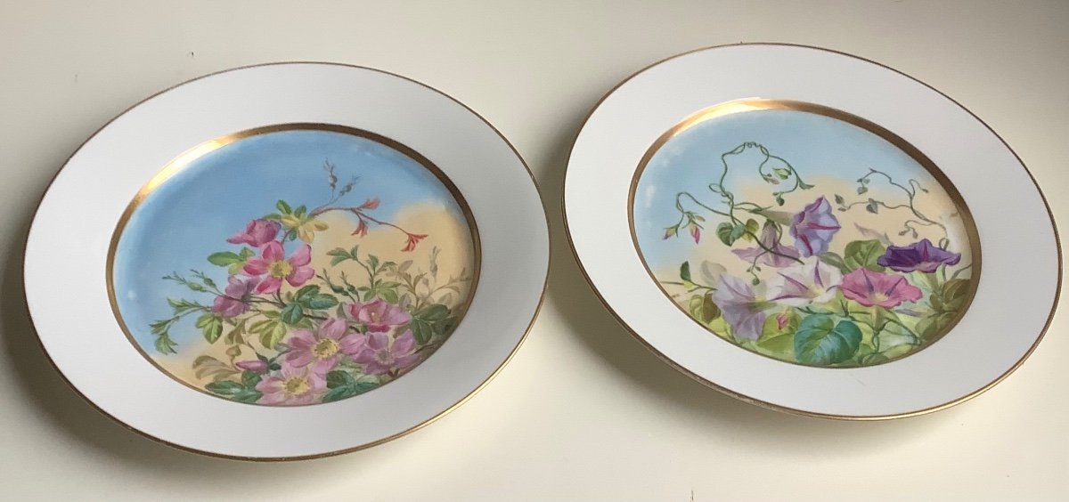 2 Sèvres Porcelain Plates Wild Flower Decor-photo-2