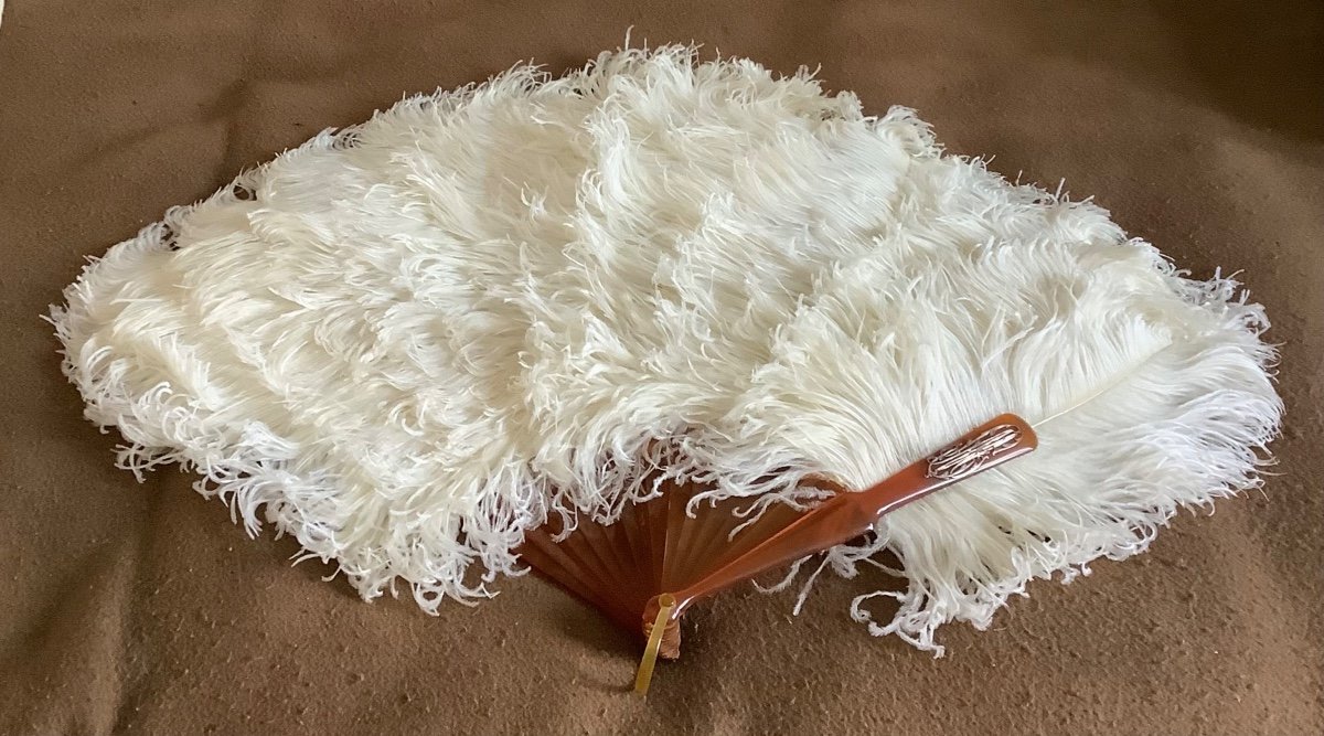 A 19th Century Ostrich Feather Fan -photo-2