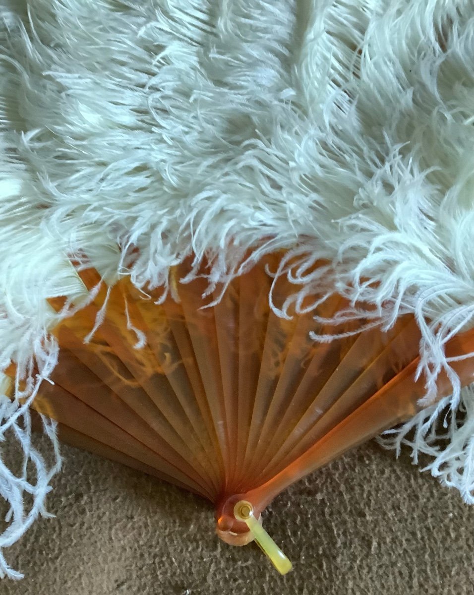 A 19th Century Ostrich Feather Fan -photo-4