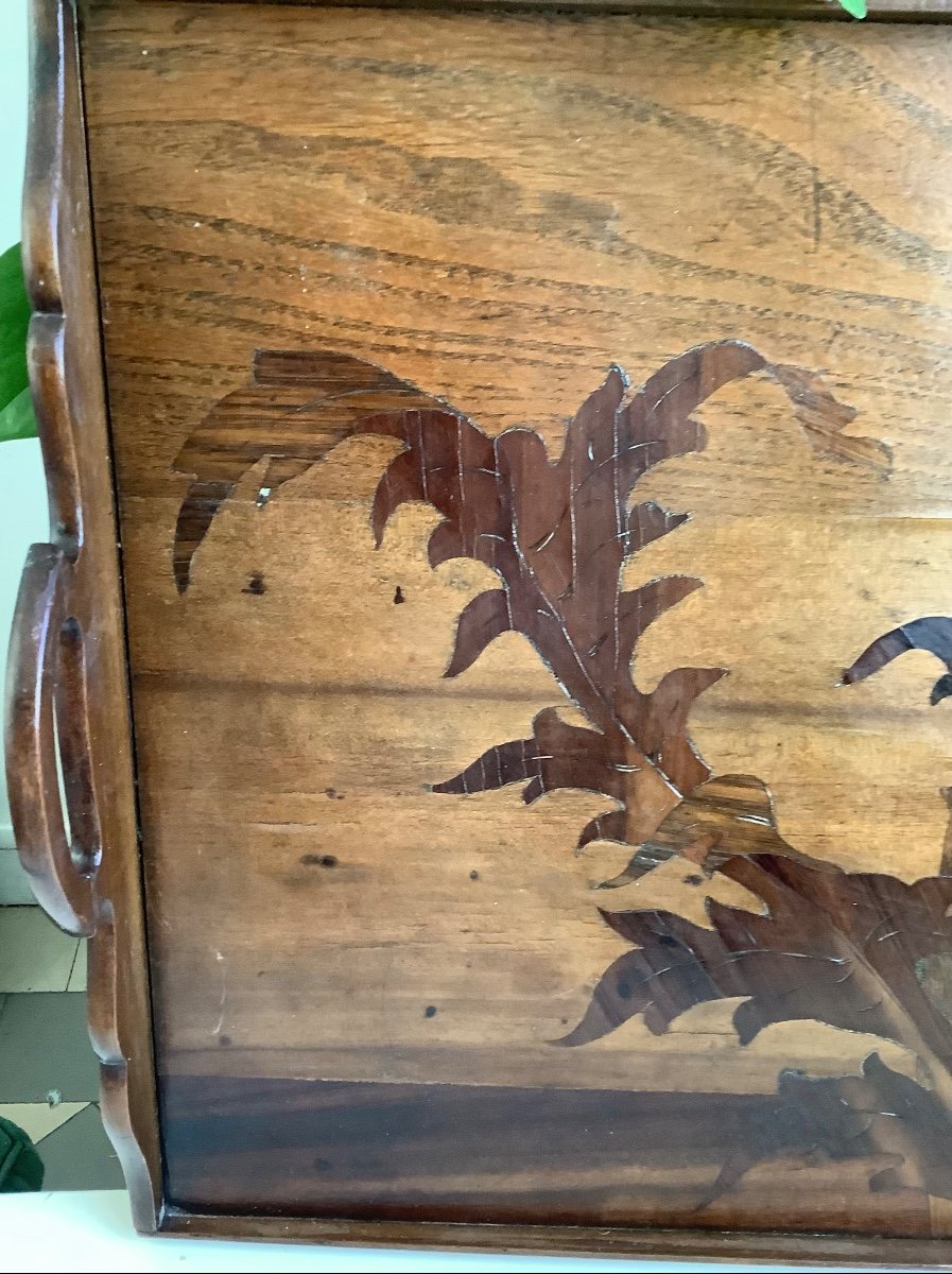 Wooden Marquetry Tray By émile Gallé -photo-3