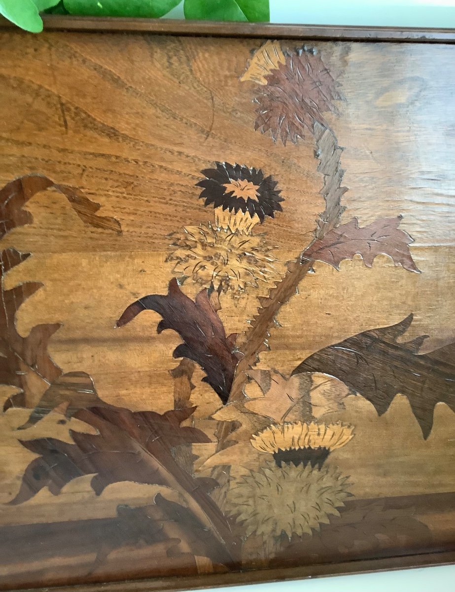 Wooden Marquetry Tray By émile Gallé -photo-4