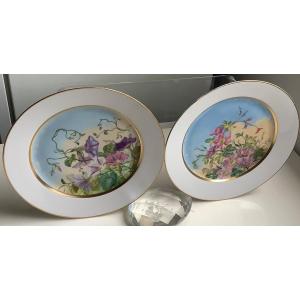 2 Sèvres Porcelain Plates Wild Flower Decor