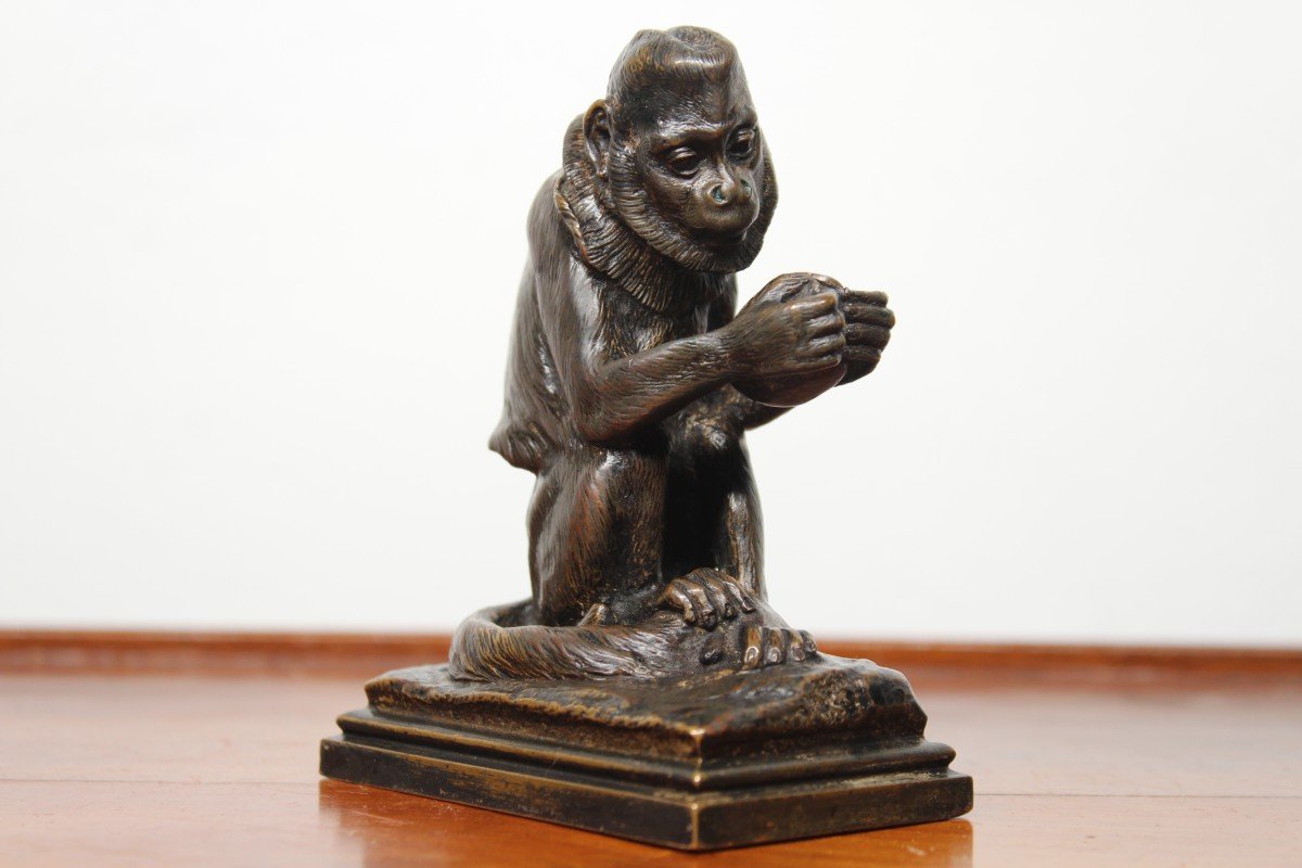 Bronze Animalier  - Singe à La Noix De Coco - Alfred Barye (1839-1882)-photo-2