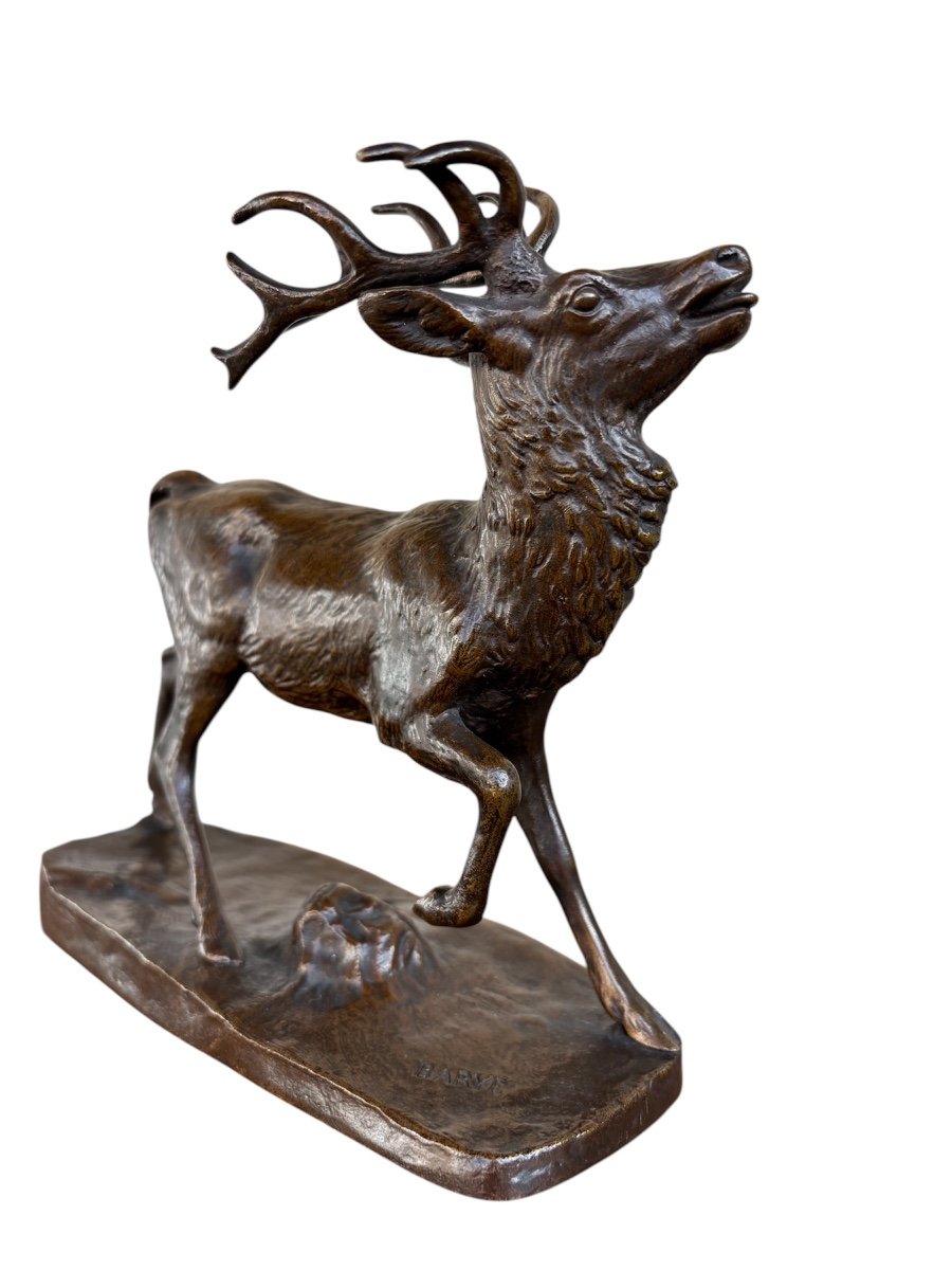 Bronze Animalier - Cerf Debout - Antoine Louis Barye - Susse Frères -photo-4