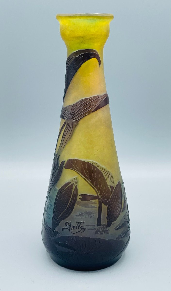 Vase Art Nouveau Aux Nénuphars Emile Gallé Nancy 1900-photo-3