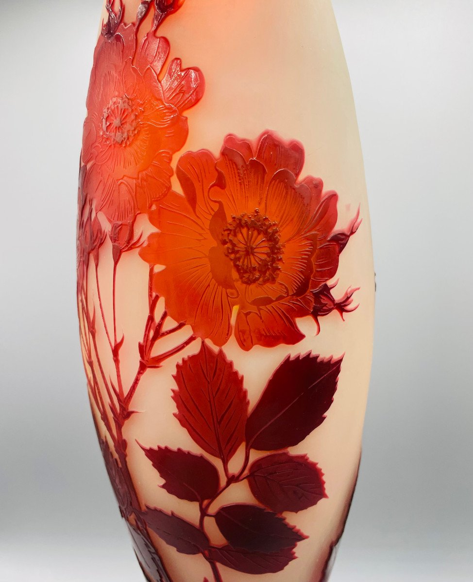 Grand Vase Art Nouveau Aux Roses Sauvages Emile Gallé Nancy 1900-photo-3