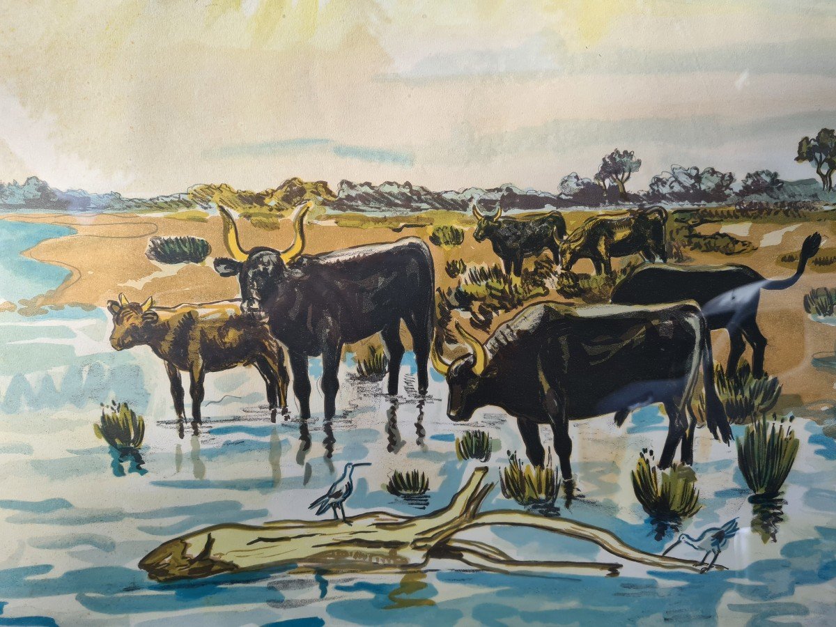 Lithograph "bulls In Camargue" Yves Brayer 1974-photo-2