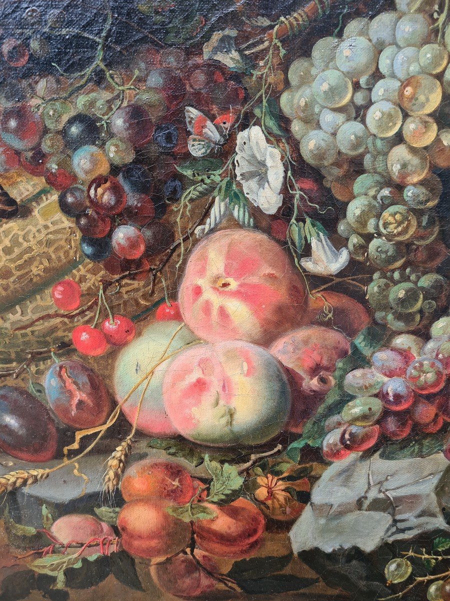 Huile Sur Toile  Nature Morte Aux fruits et Insectes dans le goût de Mignon-photo-5