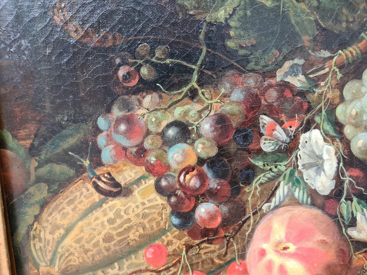 Huile Sur Toile  Nature Morte Aux fruits et Insectes dans le goût de Mignon-photo-6