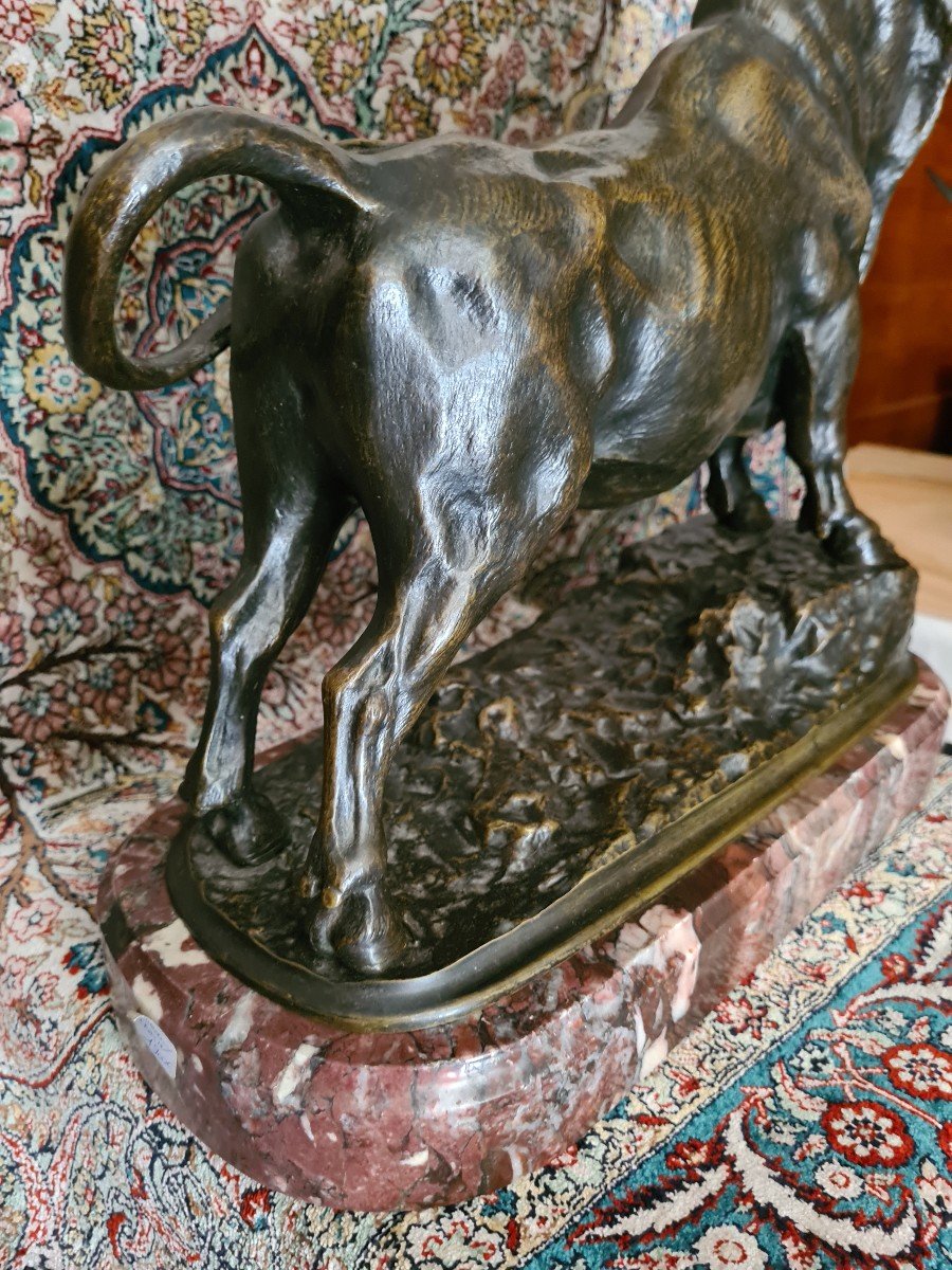 Taureau En Bronze Sur Socle Marbre Modèle De C.  Fratin-photo-6