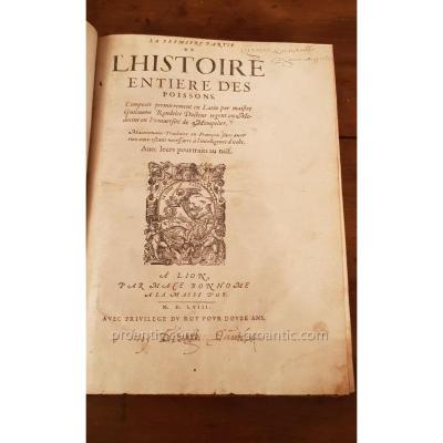 Livre Ancien " Histoire Entière Des Poissons Par Guillaume Rondelet 1556