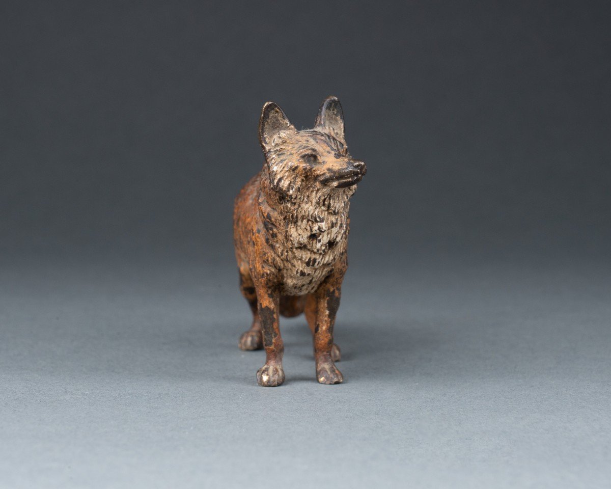 Red Fox, 19th Century Vienna Bronze-photo-2