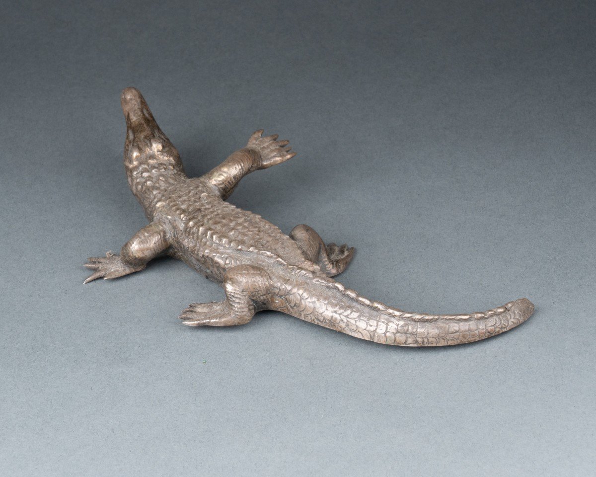 Crocodile In Silver-plated Bronze, 19th Century-photo-4