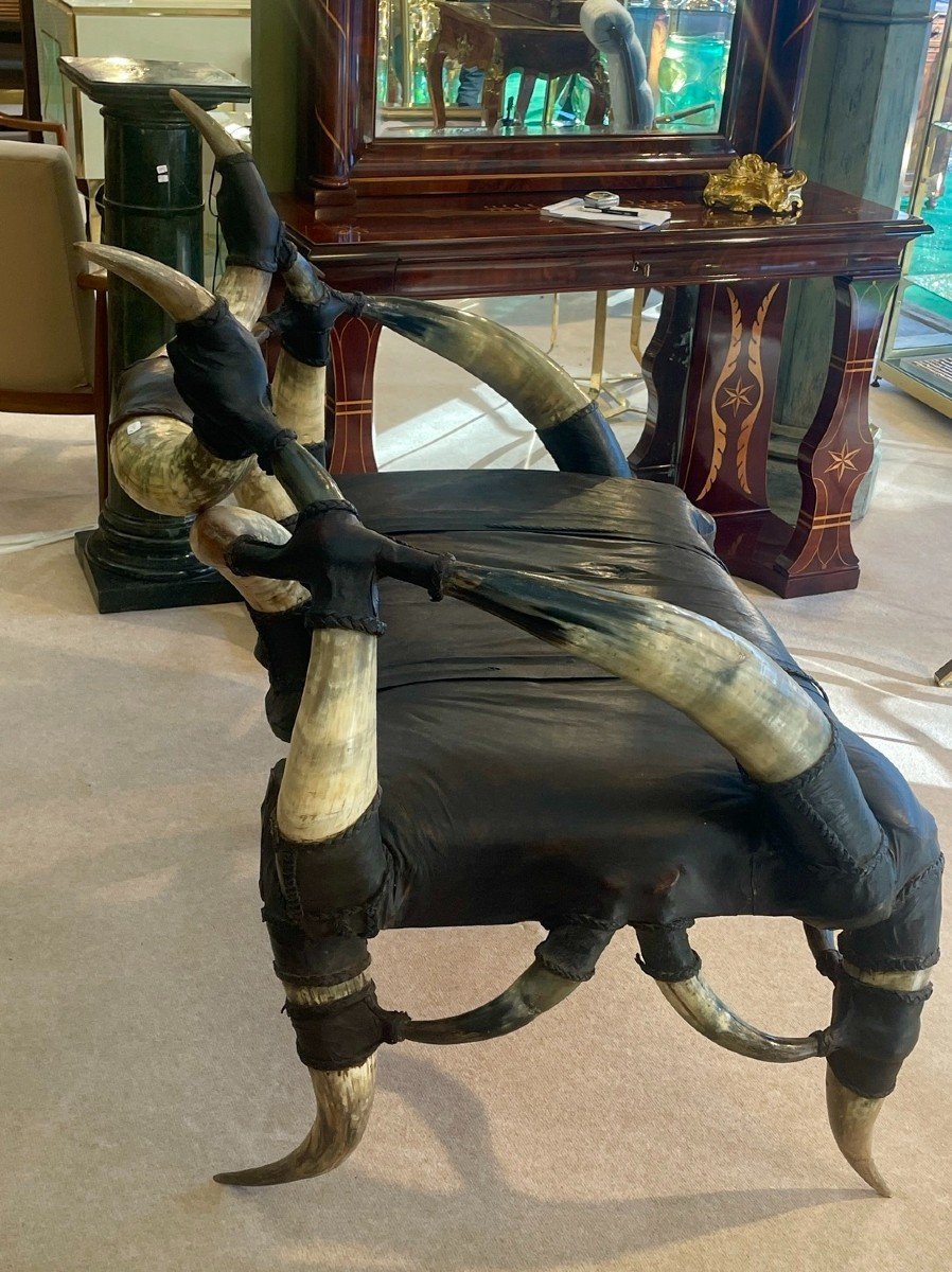 Horn And Leather Bench, 20th Century-photo-8