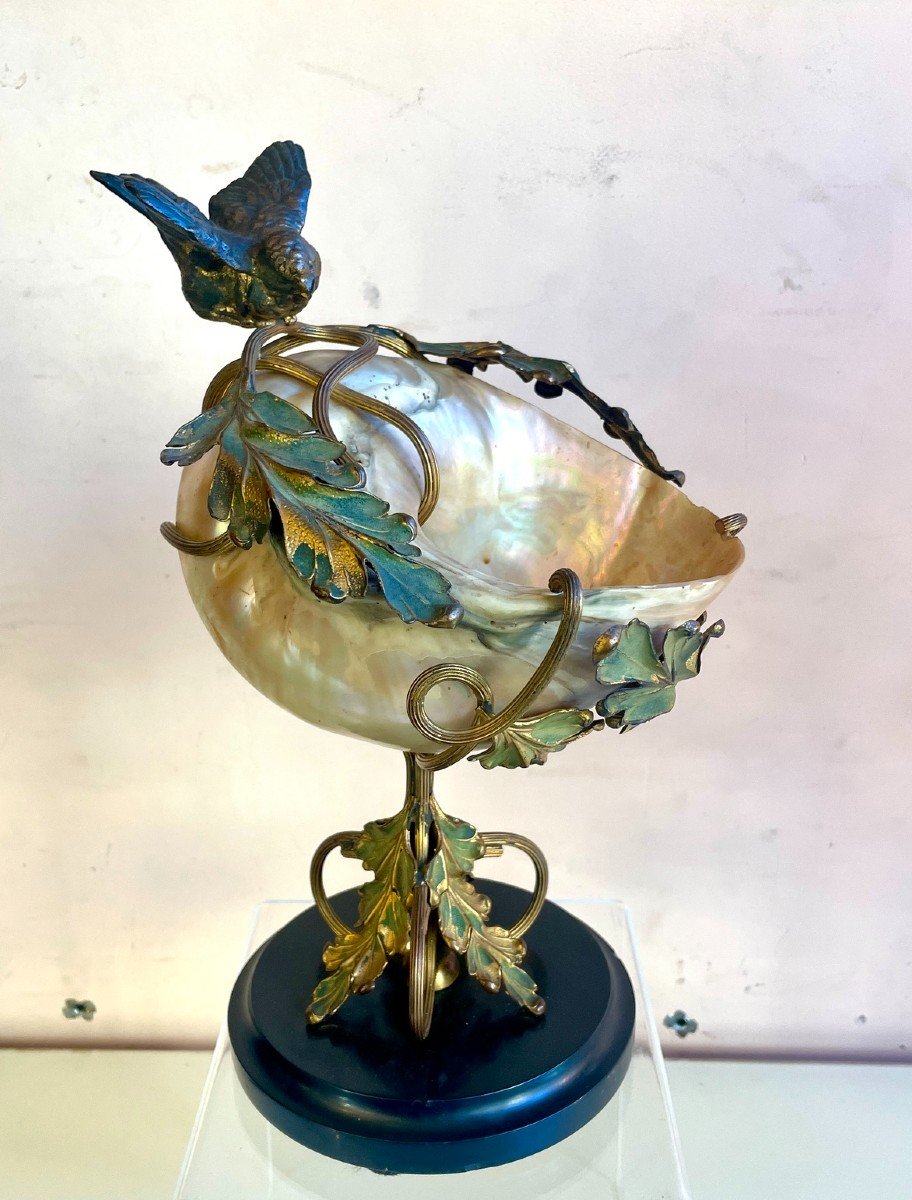 Art Nouveau Mounted Shell, 19th Century-photo-3