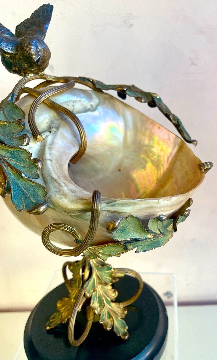 Art Nouveau Mounted Shell, 19th Century-photo-4