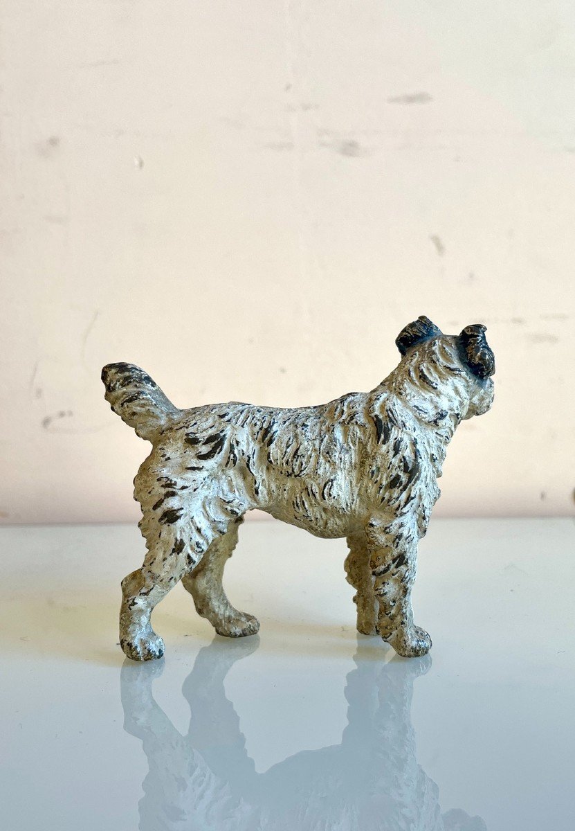 Fox Terrier, Polychrome Vienna Bronze, 19th Century-photo-2