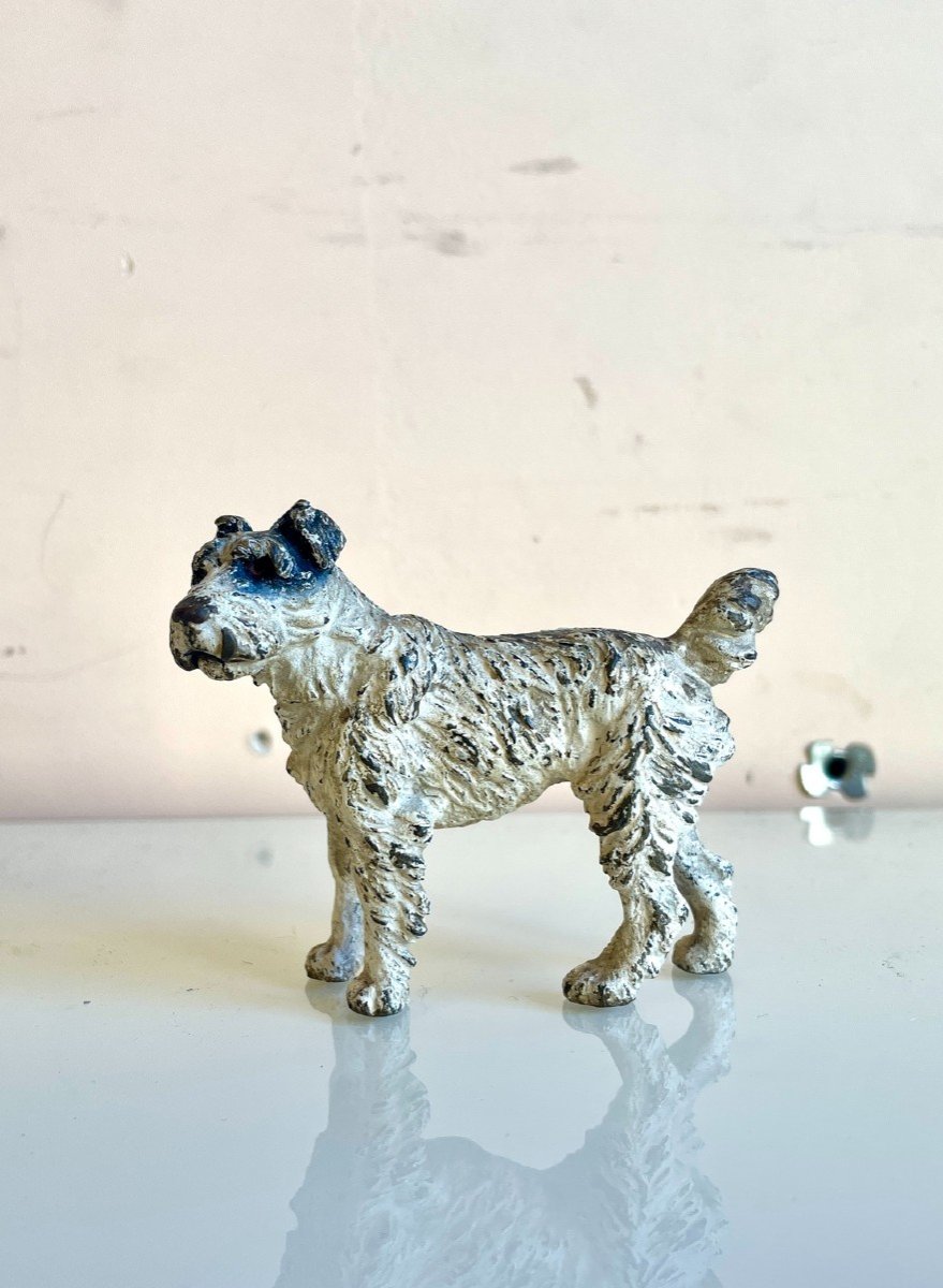 Fox Terrier, Polychrome Vienna Bronze, 19th Century-photo-2