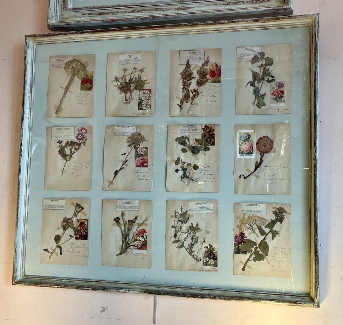 Botanical Panel, 20th Century-photo-1