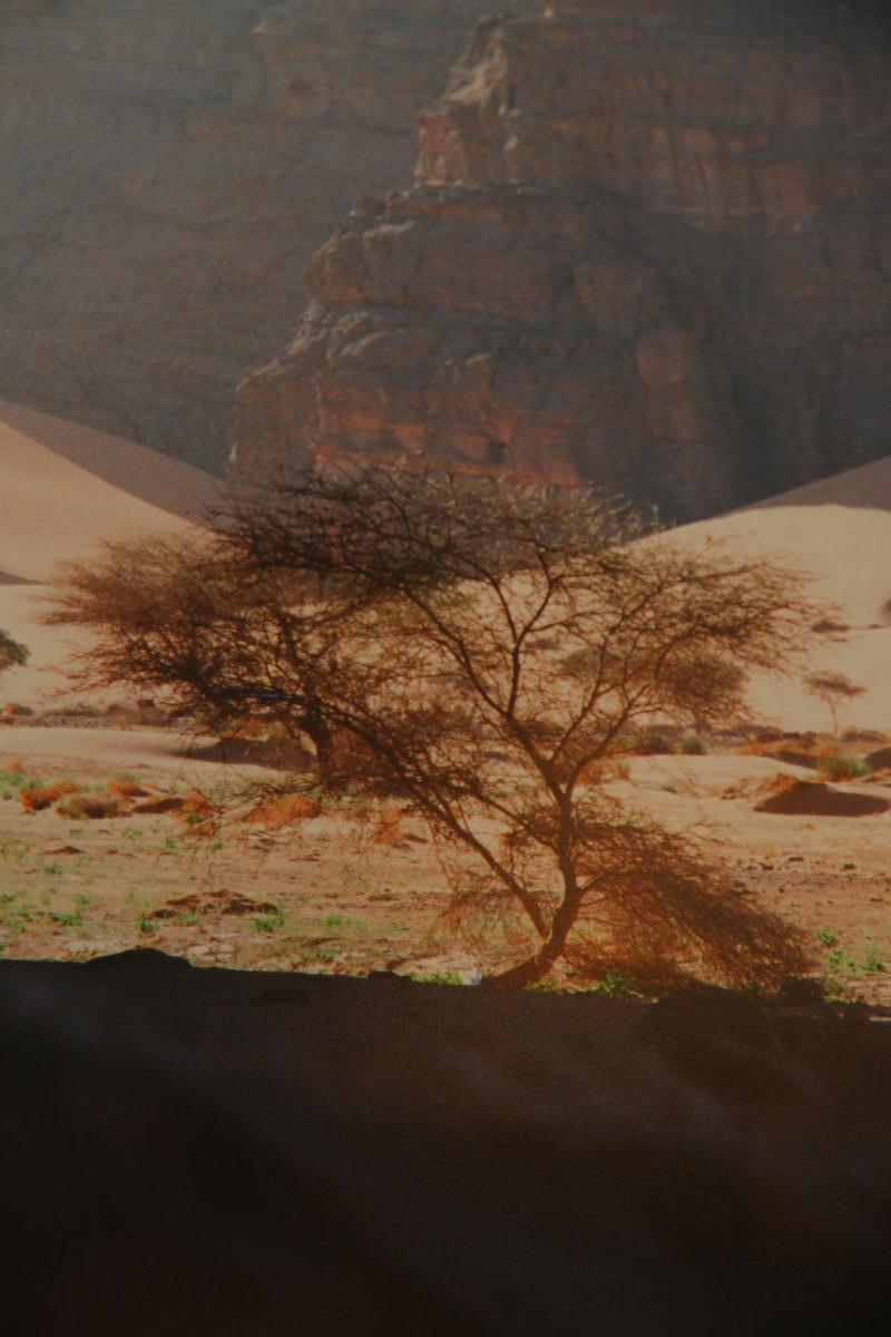 Une Photographie Signée François-guy Mercier, d'époque XXe Siècle-photo-4