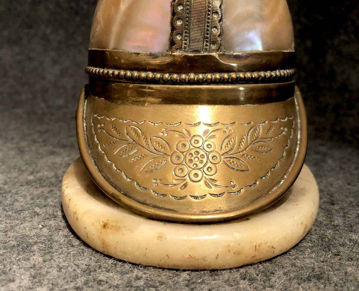 Shell Mounted As Helmet Forming A Box, 19th Century-photo-5