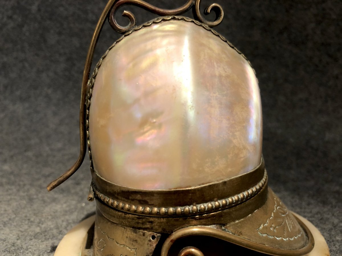 Shell Mounted As Helmet Forming A Box, 19th Century-photo-7