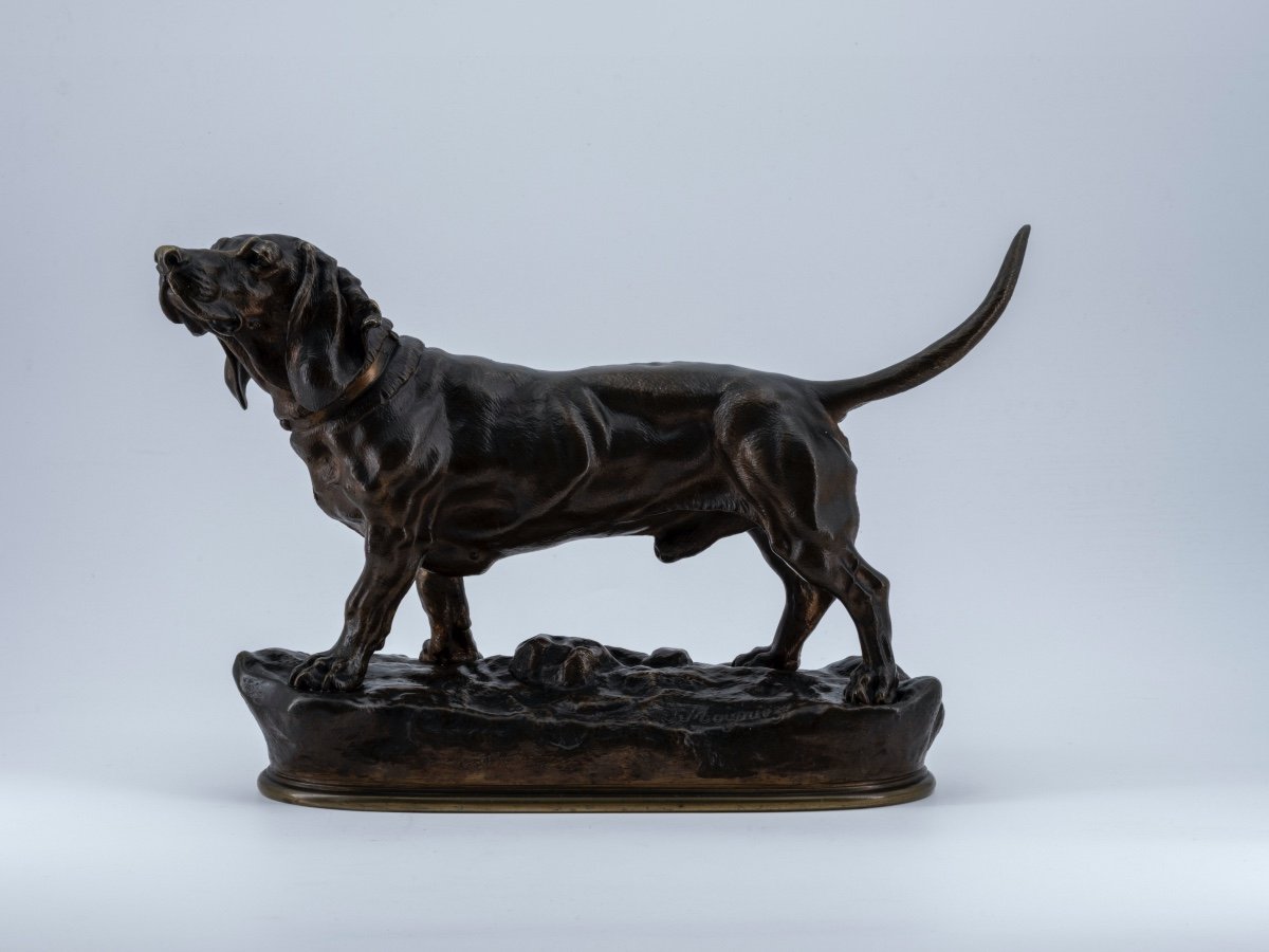 Basset, Bronze Sculpture With Brown Patina Signed Jules Moigniez (1835 - 1894)