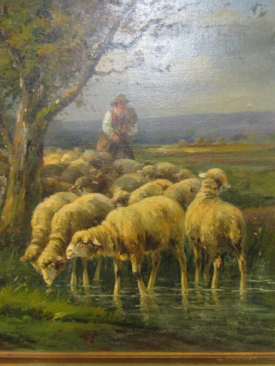 Sheep Painting-photo-3