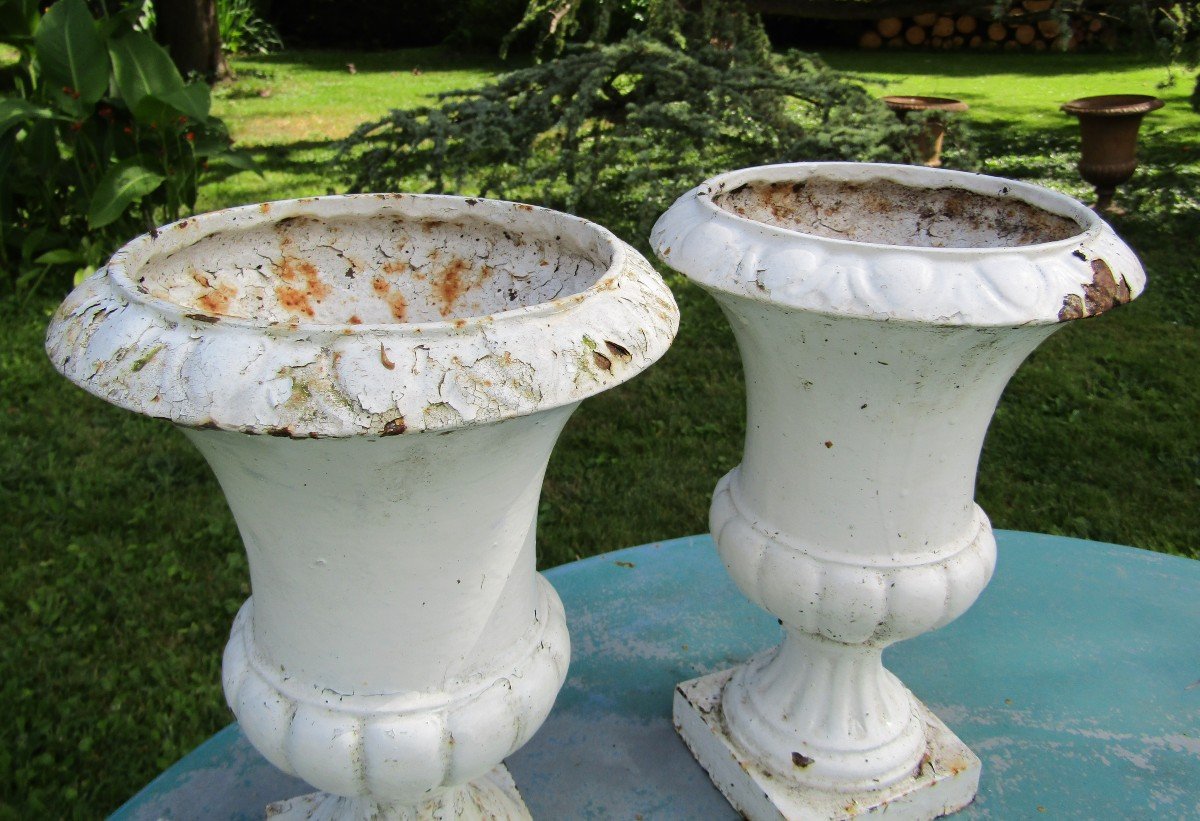 Medici Vases-photo-3