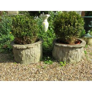 Cement Planters