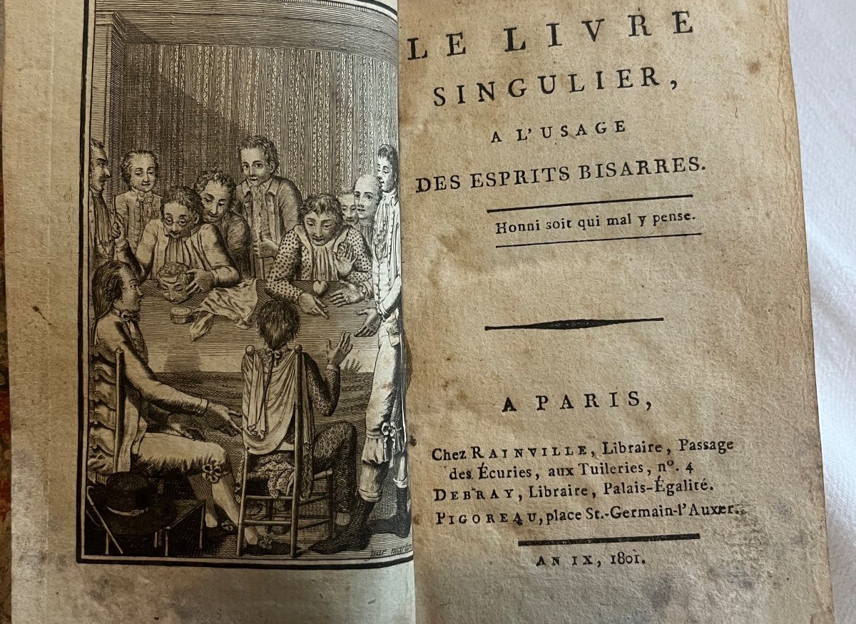 Le Livre Singulier à L’usage Des Esprits Bisarres