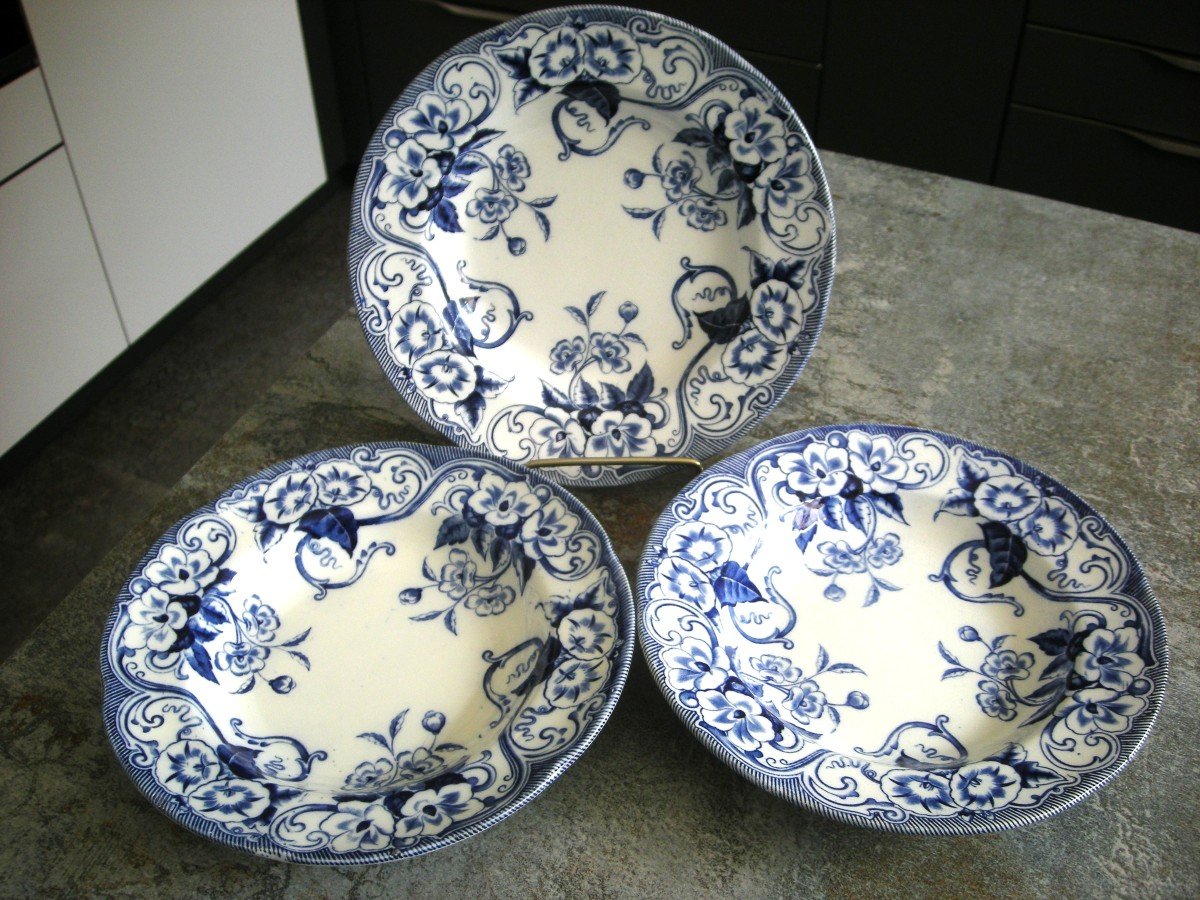 9 Nineteenth Service Plates Flora De Creil And Montereau-photo-4