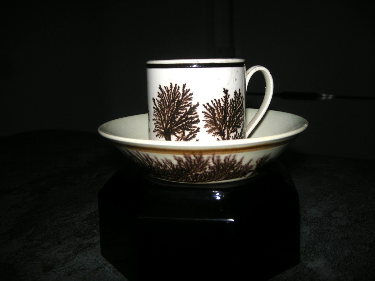 Fine Earthenware Cup And Saucer 1803 Herborisation Decor-photo-2