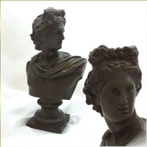 Buste en Bronze à Patine Brune " l'Apollon du Belvédère" Travail XIX°