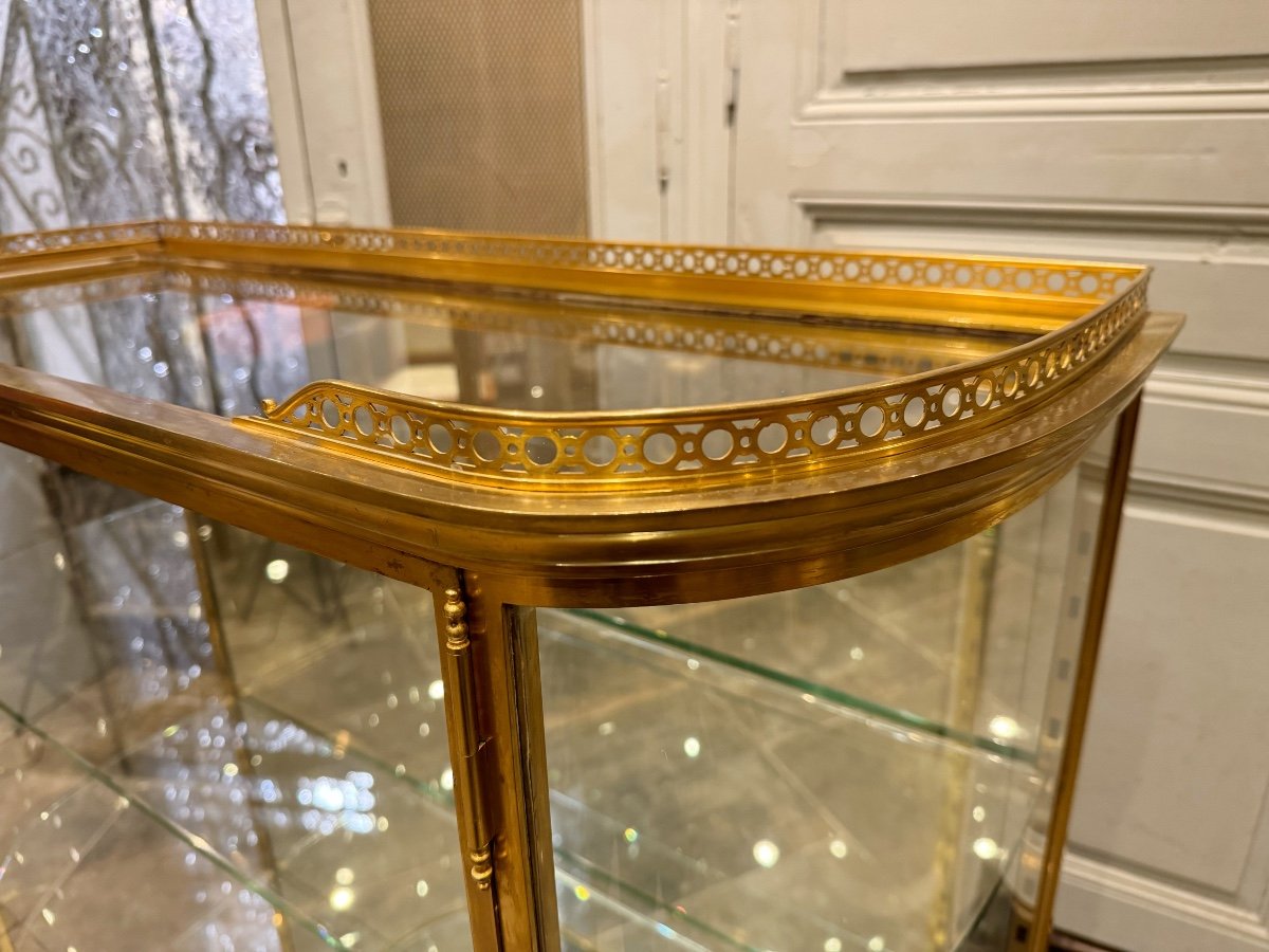 Late 19th Century Louis XVI Style Gilt Bronze Display Case -photo-6