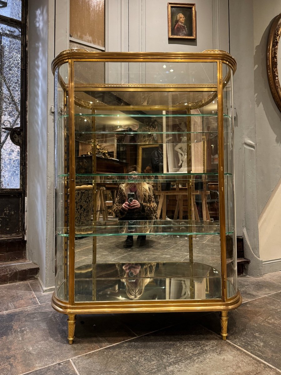 Late 19th Century Louis XVI Style Gilt Bronze Display Case 