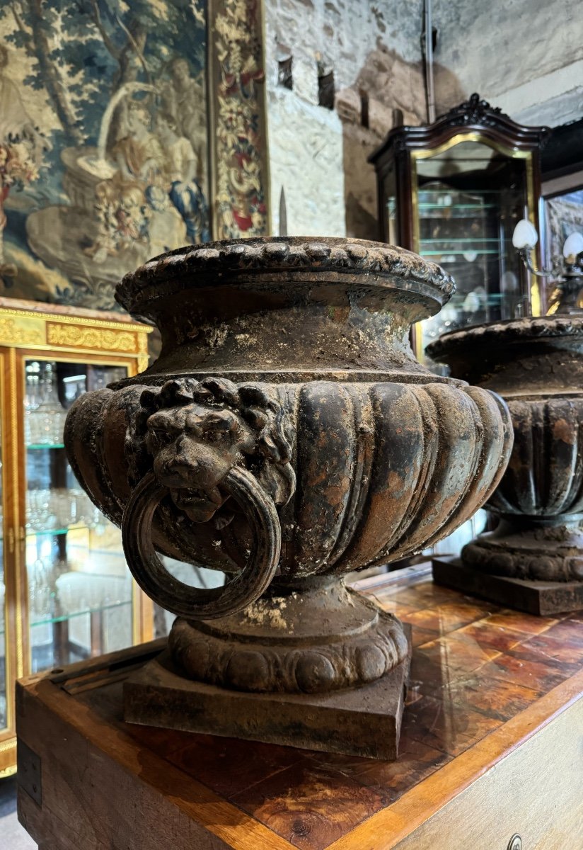 Paire De Vases En Fonte de fer  “Aux Mufles De Lions”  Val D’osne Paris -photo-3