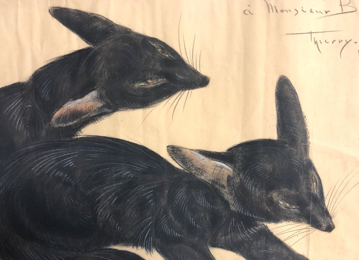 Thierry Van RIJSWIJCK 1911-1958 Grand pastel Art Deco  Fennec Renard 1955-photo-2