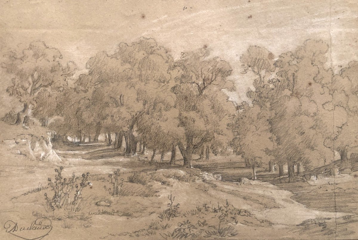 Jean Antoine Duclaux Lyon 1783-1868 Drawing And Pastel Tree Landscape /8-photo-2
