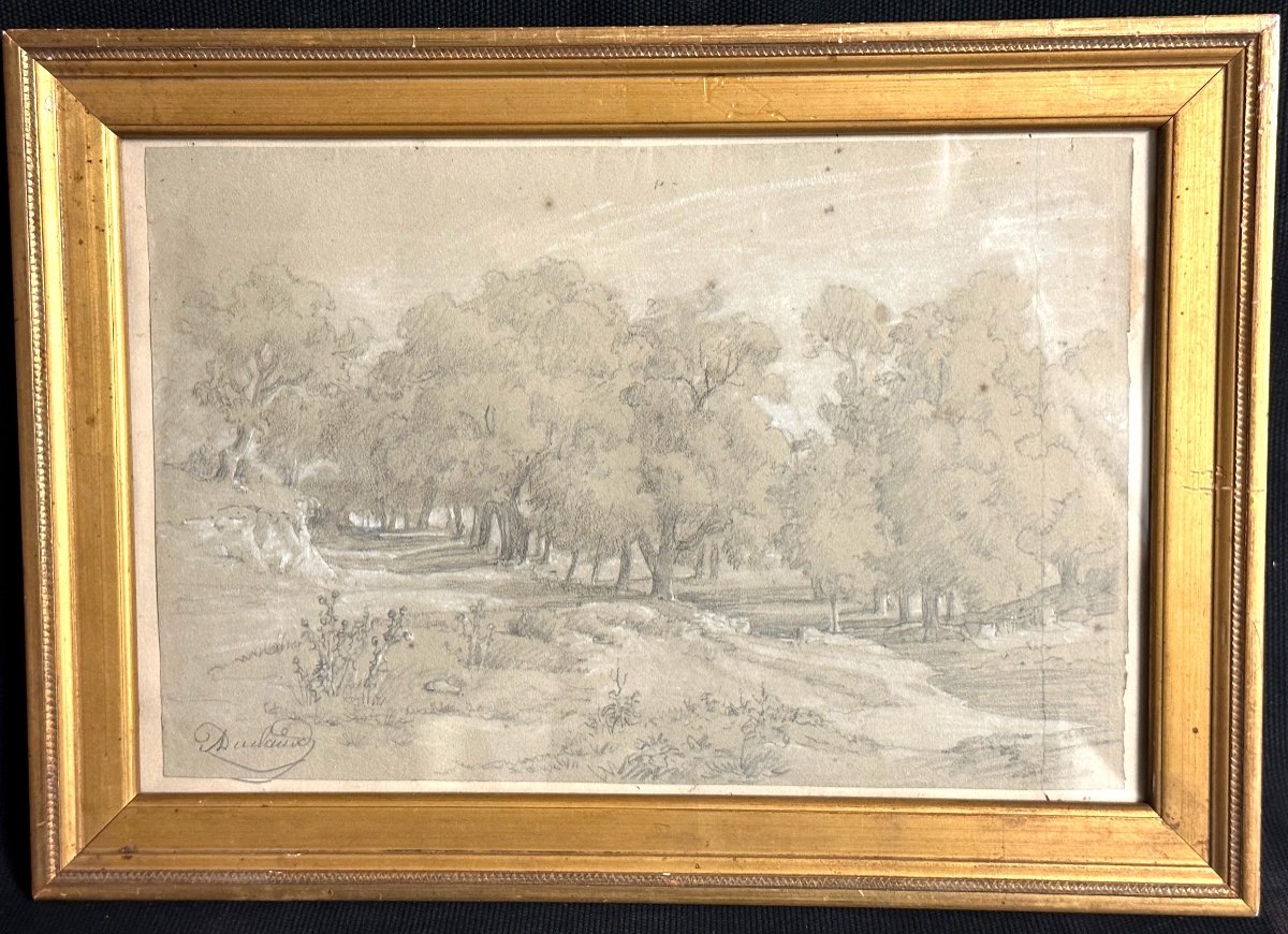 Jean Antoine Duclaux Lyon 1783-1868 Drawing And Pastel Tree Landscape /8