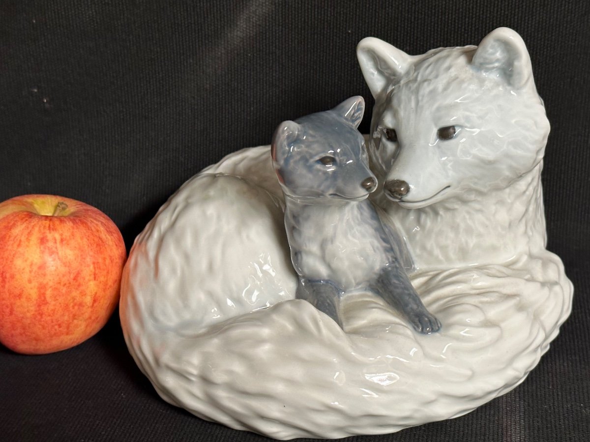 Large Snow Fox And Royal Fox Copenhagen 443 Porcelain Denmark Copenhagen Collection