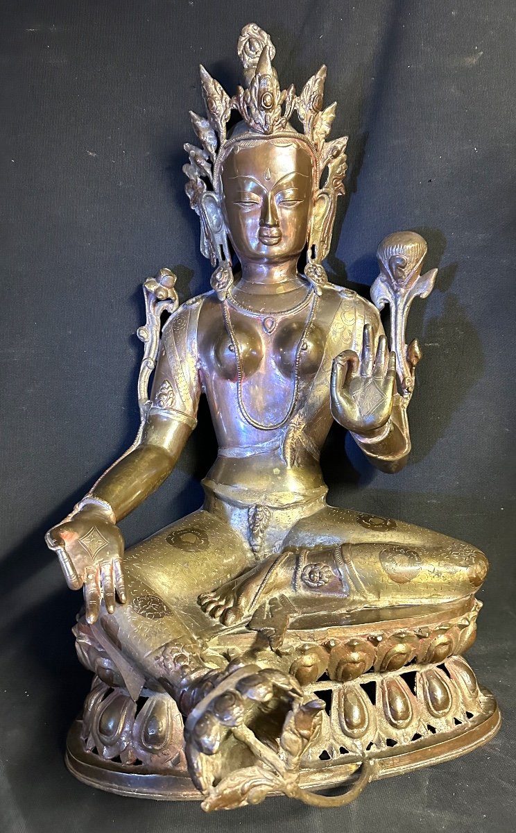 Nepal Important Old Bronze Buddha 70cm Double Patina Lotus Buddha-photo-2