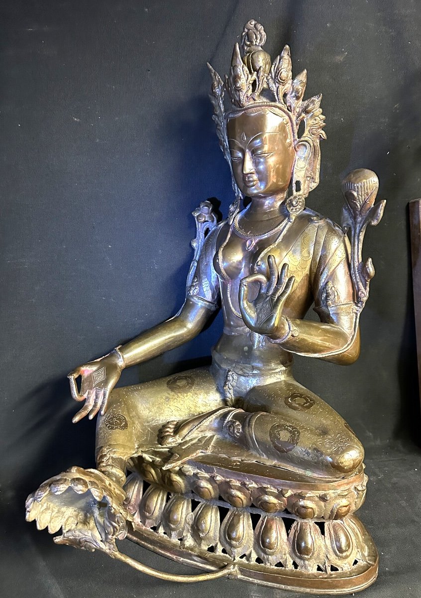 Nepal Important Old Bronze Buddha 70cm Double Patina Lotus Buddha-photo-3