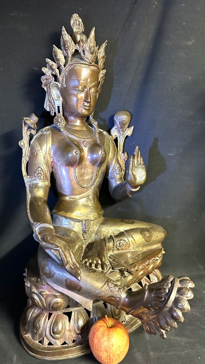 Nepal Important Old Bronze Buddha 70cm Double Patina Lotus Buddha