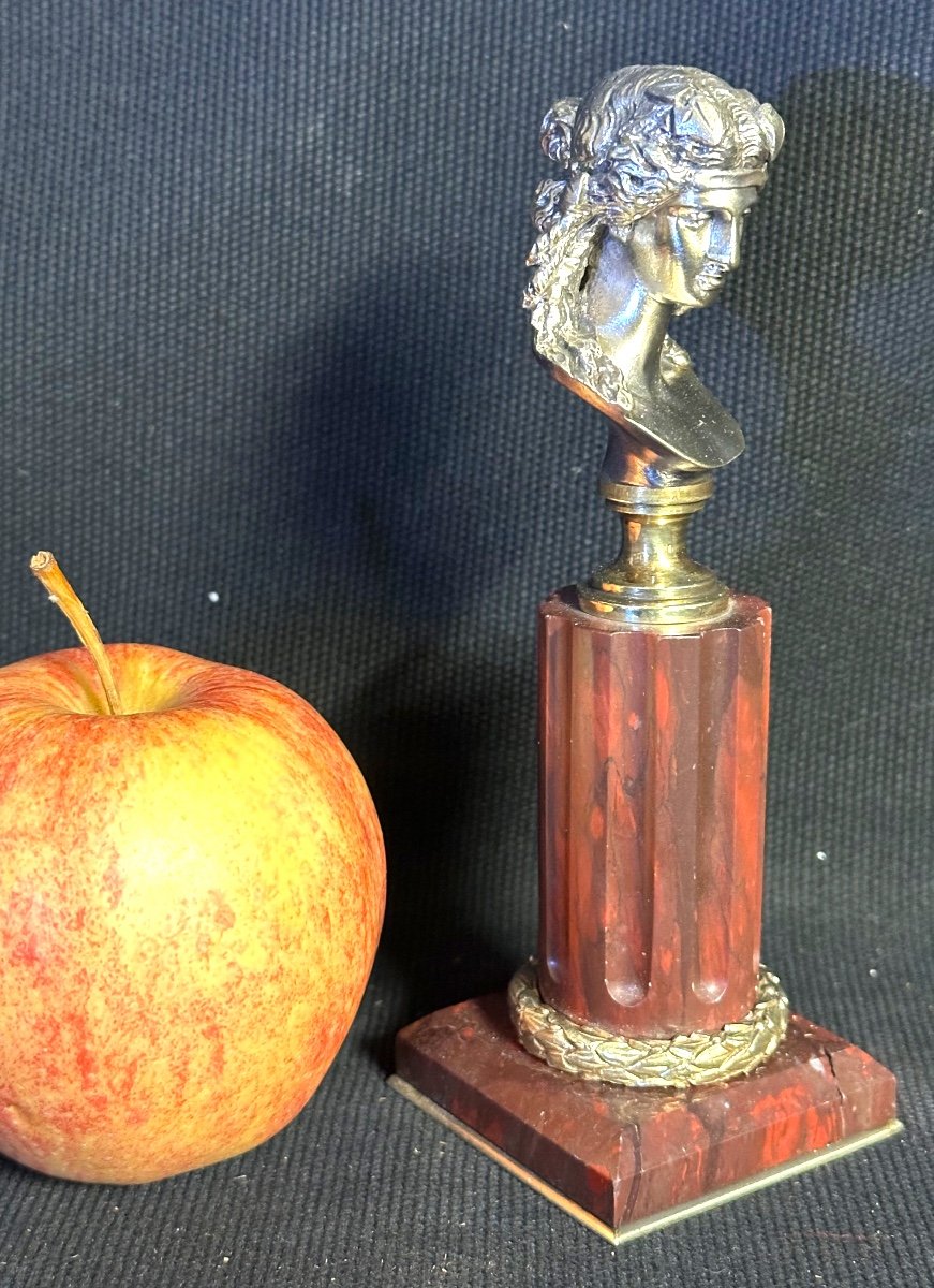 Bronze 19th Century Bust Of Ariane On Its Column Base In Royal Red Marble Hallmark Ec Or Fc-photo-2