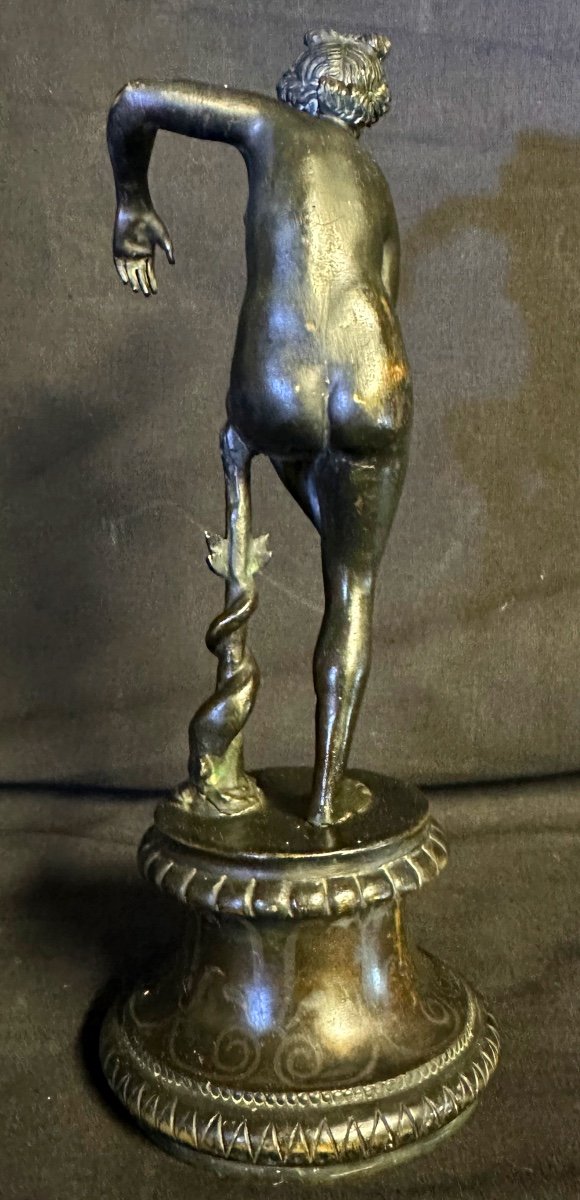 Bronze Aphrodite With Dolphin After Antique 19th Century 25.5cm-photo-3