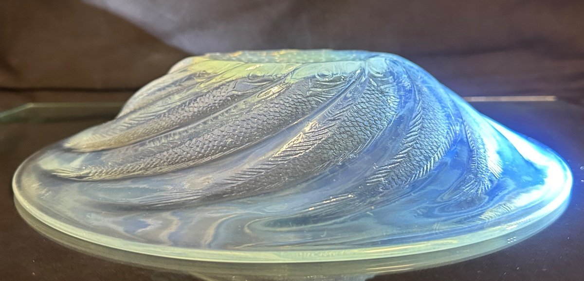 René LALIQUE Rare grande coupe opalescente 29,5cm POISSONS signée Très bon état Referencée -photo-6