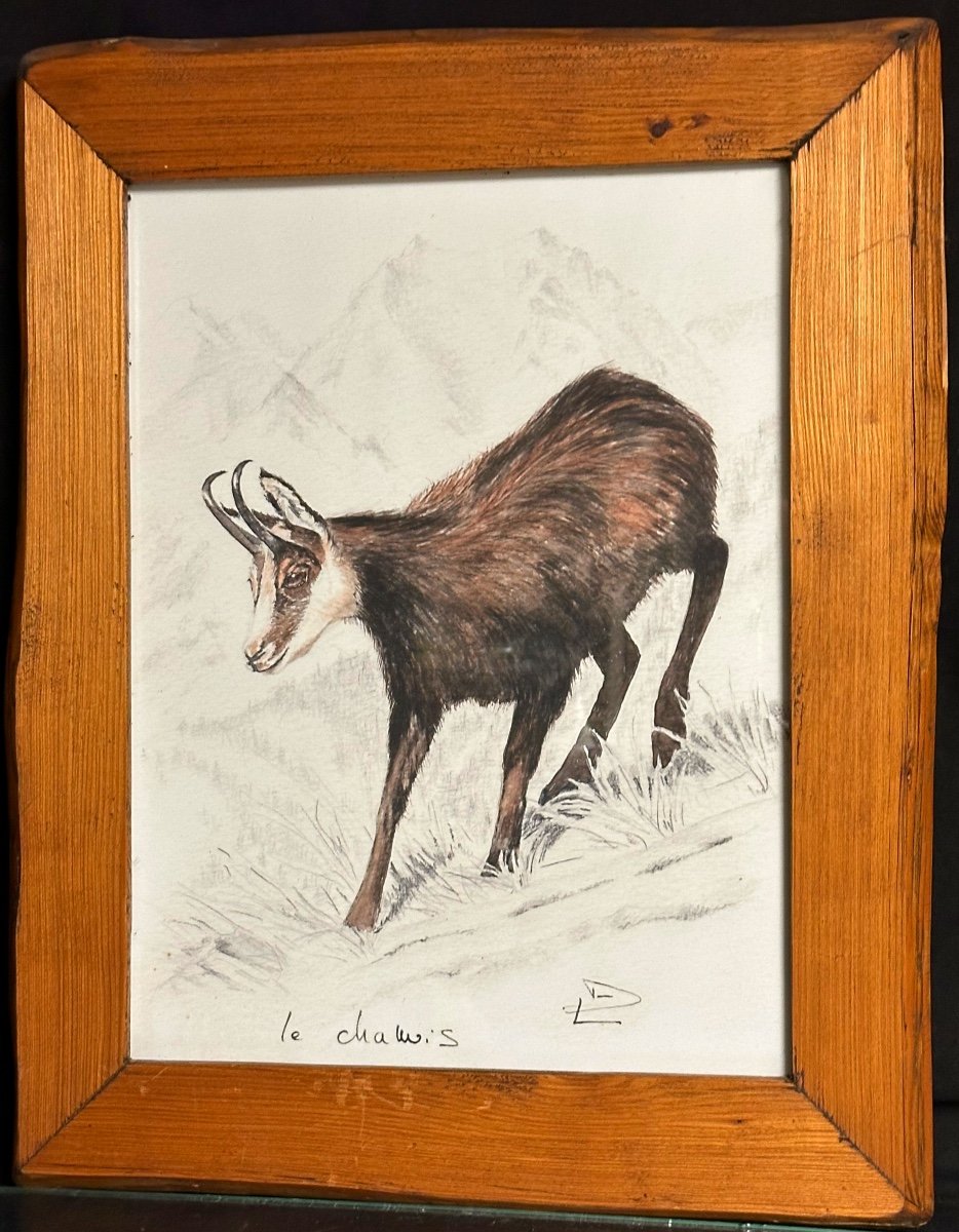 Watercolor Chamois Signed Ld XXth Mountain Alps Hunting-photo-2